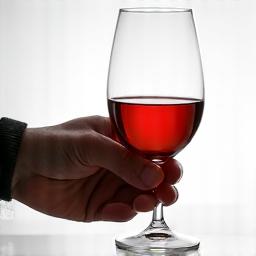 Un sommelier évaluant méticuleusement le vin lors d'une dégustation technique